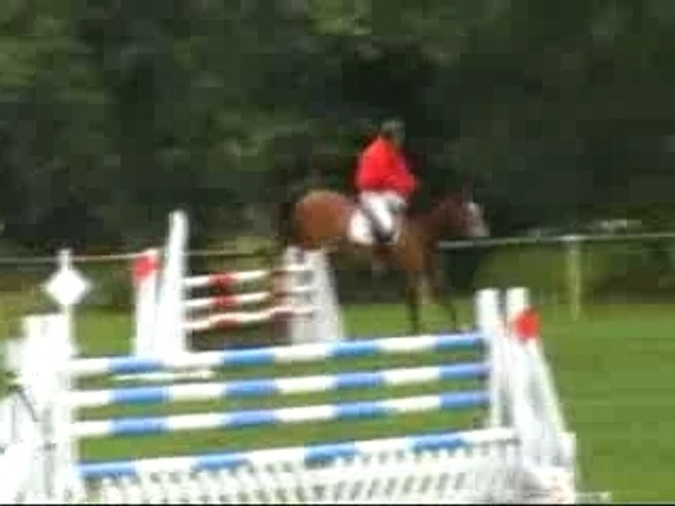 Orion d'Andredart Saint Medard en Jalles 5 ans A