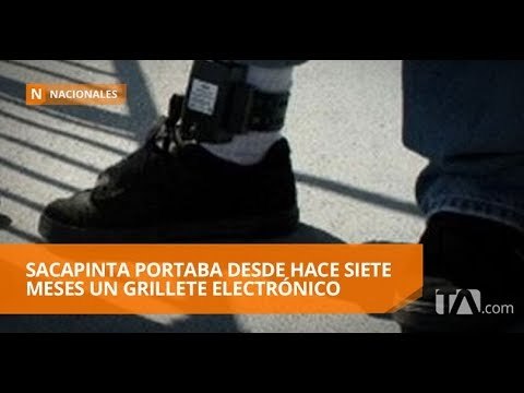 Banda de sacapintas fue desarticulada en El Oro - Teleamazonas