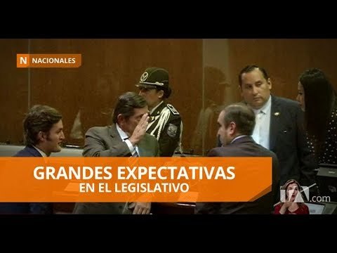 14 asambleístas renunciaron a sus cargos hasta el viernes - Teleamazonas