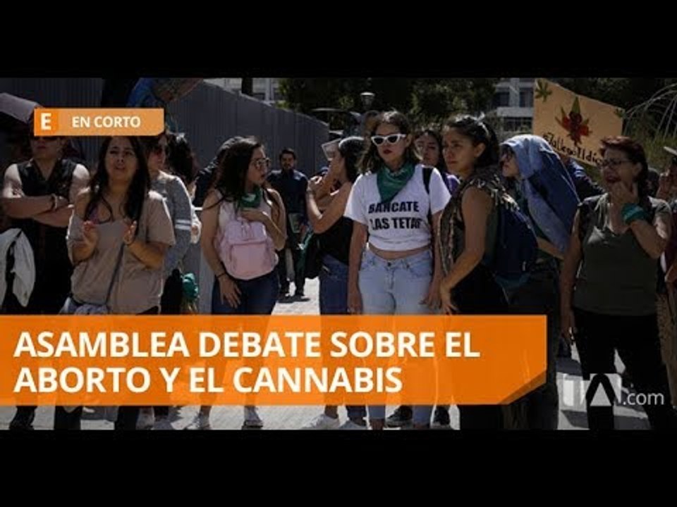 Despenalización del aborto en casos de violación, en debate en la Asamblea - Teleamazonas