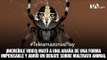 Mata una araña y los usuarios de redes lo acusan de maltrato animal - Teleamazonas