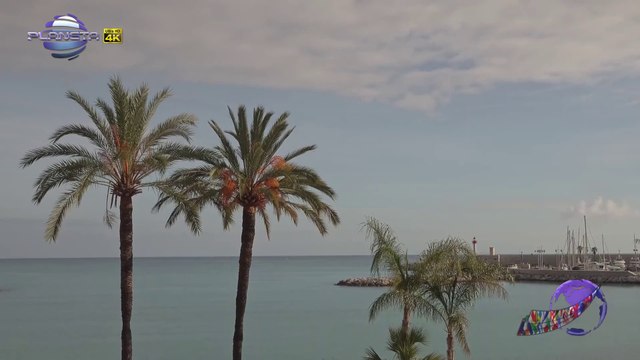 STIHIYA - VESELIN MARINOV - SNYAG _⁄ Стихия - Веселин Маринов - Сняг, 2019