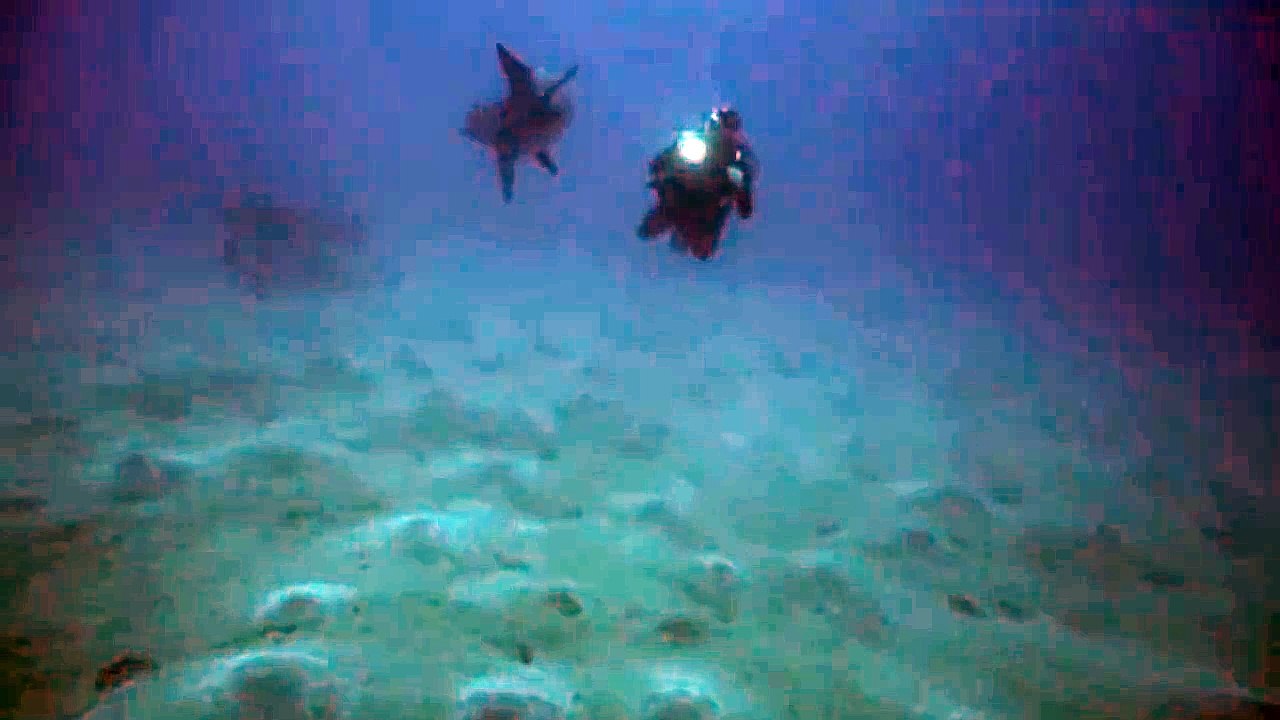 Dolphins swimming in the Red Sea 5, Eilat Israel photographed by Meni Meller