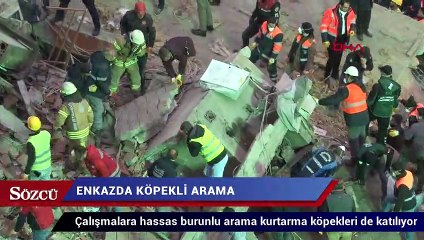 下载视频: Çöken binanın enkazında köpekli arama