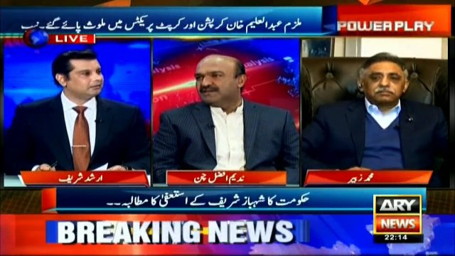 PAC chairman Shehbaz should resign too: Nadeem Afzal Chan