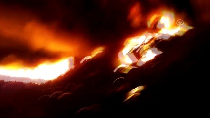 Viyadükten düşerek yanan tırın sürücüsü öldü - OSMANİYE