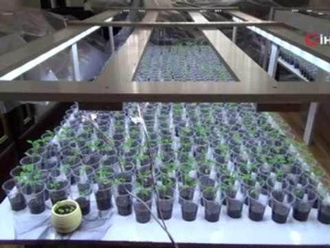 Sebze meyve fiyatlarına böyle isyan etti