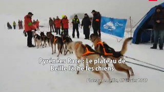 Pyrénées Race : le Plateau de Beille lâche les chiens