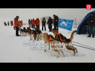 Pyrénées Race : le Plateau de Beille lâche les chiens