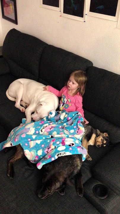 Child and Dogs Have a Cuddle Huddle