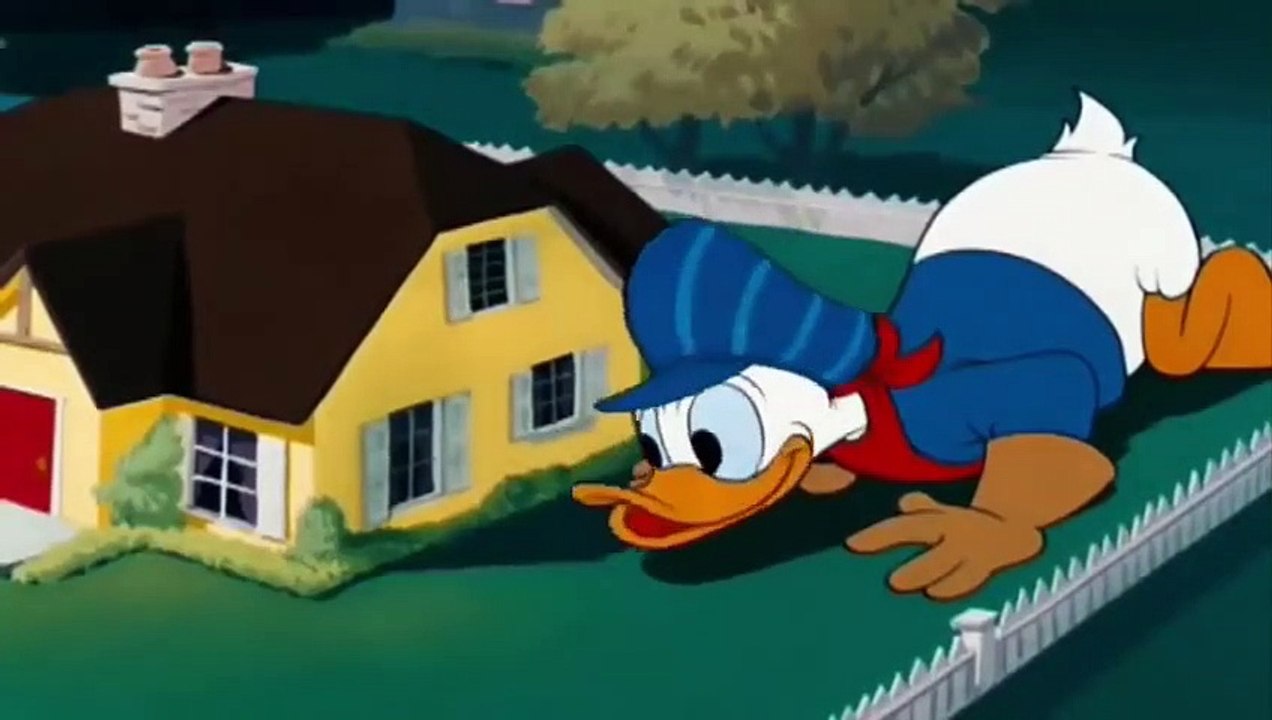 ᴴᴰ Donald Duck & Chip and Dale Cartoon   Disney Pluto, Minnie Mouse, Mickey Mouse, Bee