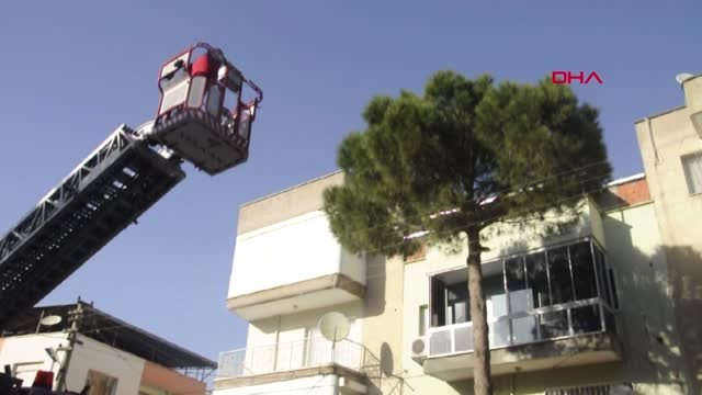 Manisa Ağaçta Mahsur Kalan Kedi İçin İtfaiyeden Kurtarma Çalışması