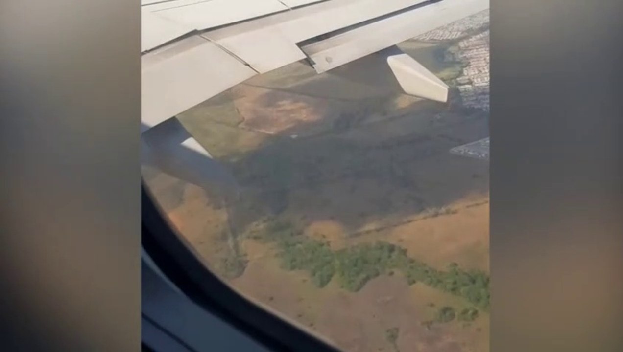 Un réacteur crache des flammes après avoir percuté un oiseau