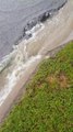 Massive Flooding Causes Sinkholes in Australian Suburb