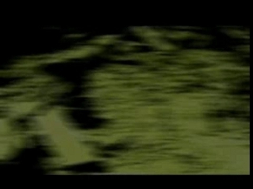 Frédéric Truong Teaser "Vers le nouveau monde" 2008