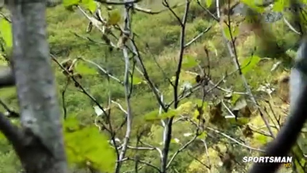 Meateater S01 E08 video Dailymotion