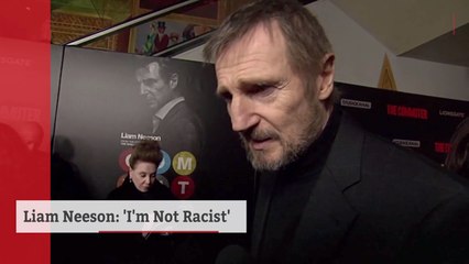 Liam Neeson Makes A Strong Case That He Is Not Racist