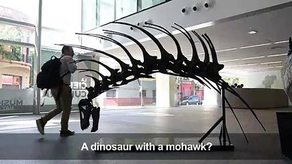 Argentina displays replica of dinosaur found in Patagonia