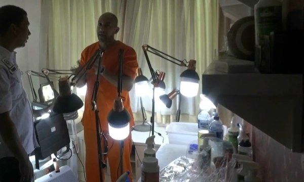 Polisi Tangkap WNA yang Tanam Ganja di Apartemen