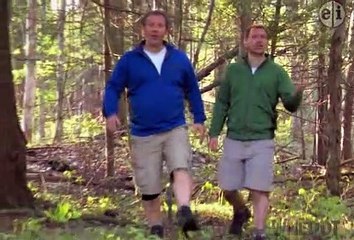 Wild Kratts - Mystery of the Weird Looking Walrus