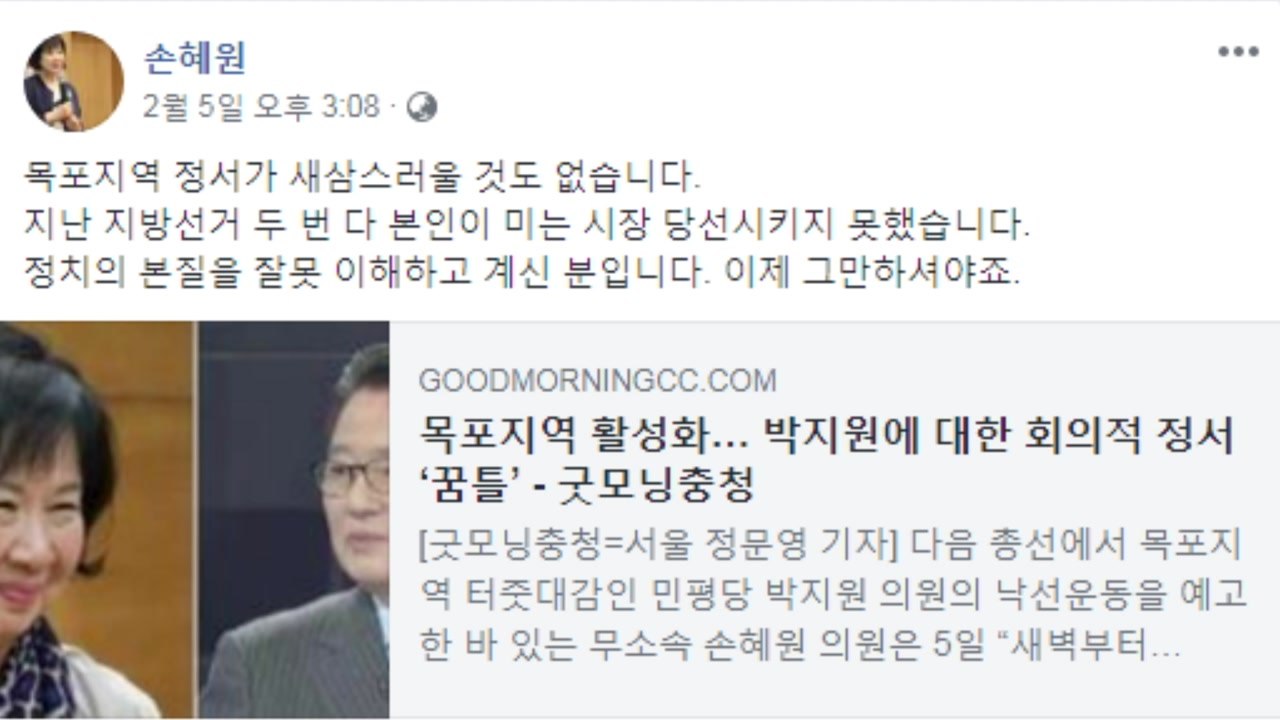 설날에 공격 재개한 손혜원, '박지원 vs 손혜원' 2 라운드? / YTN