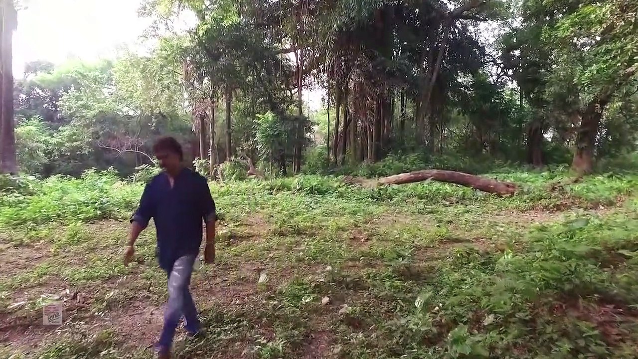 Bhorer Haowa | Soumya Bose | Nazrul Geeti