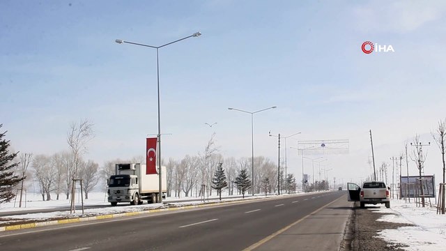 Göç edemeyen leylekler eksi 25 derecede Erzurum’da kaldı