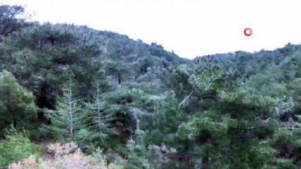 İskenderun körfezinde fırtına şiddetini arttırıyor