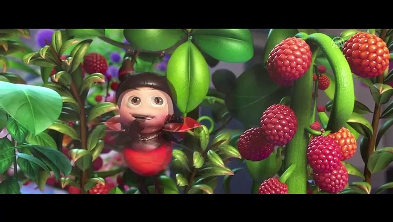 Sinema - Mucize Uğur Böceği - İSTANBUL
