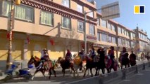 Prancing horses welcome Tibetan New Year