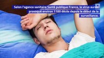 L’épidémie de grippe s’intensifie : plus de 1000 morts