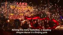 China goes the whole hog with Lunar New Year celebrations