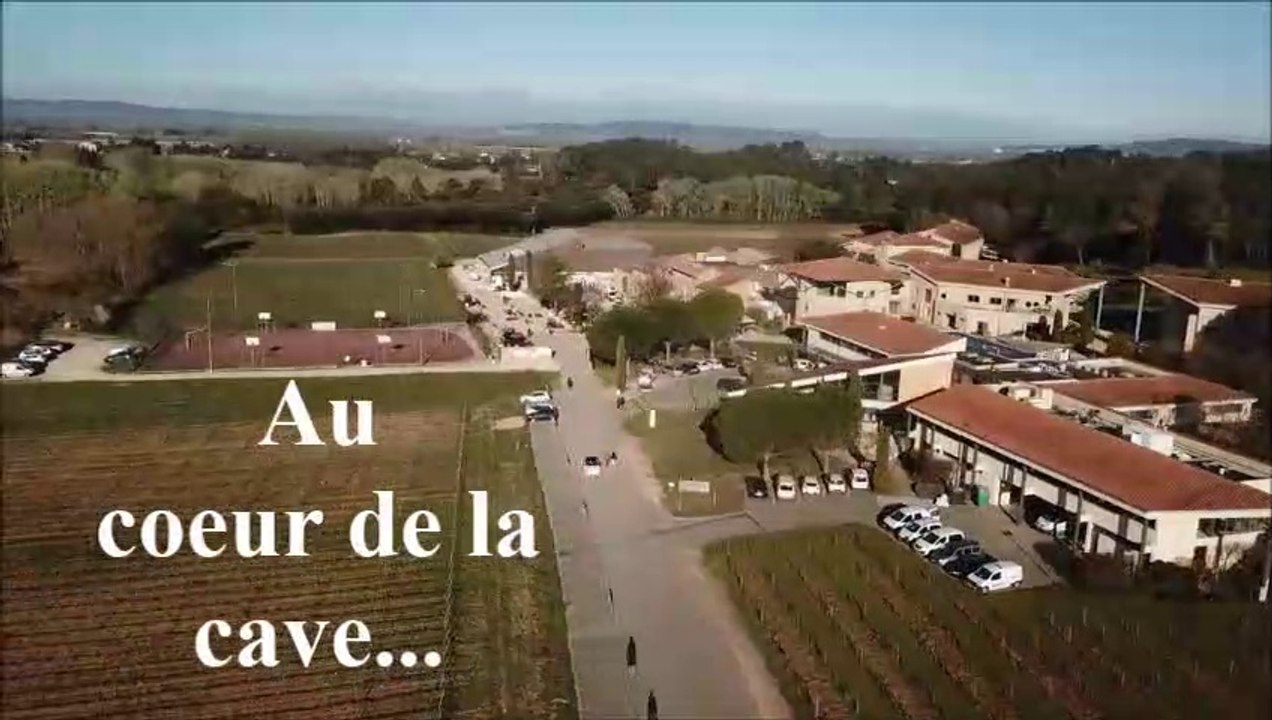 Au coeur de la cave