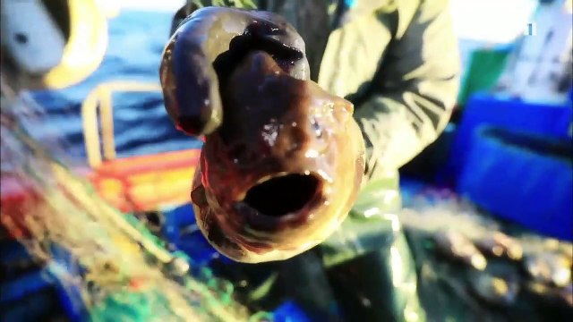 한국기행 - Korea travel_겨울, 고수를 만나다 4부 겨울을 기다린 이유_#001