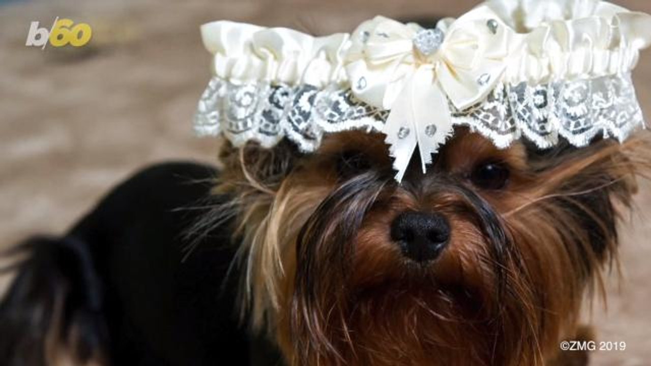 Getting Married is Not as Popular as it Used to Be