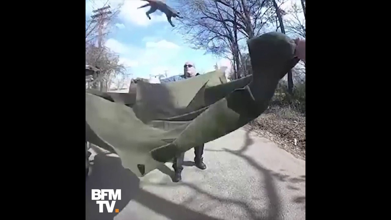 Ce chaton était coincé en haut d'un arbre… Alors ces policiers ont sorti une couverture pour qu’il saute