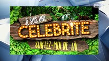 Je suis une célébrité, sortez-moi de là : la somme folle que TF1 est prête à débourser pour les candidats