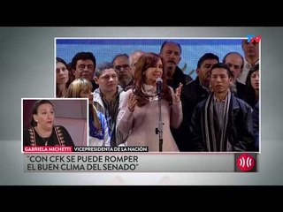 Michetti : "Cristina podría conmocionar el buen clima del Senado"