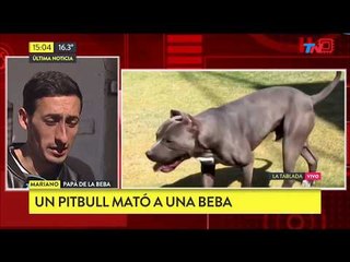 Pitbull mató a una beba de un año e hirió a la mamá