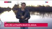 Emergencia agropecuaria en Bs As y La Pampa por inundación