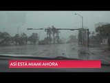 Los destrozos en Miami después del huracán Irma