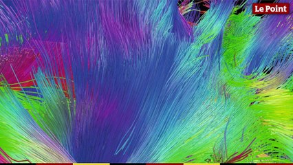 Le cerveau expliqué par Stéphane Lehéricy