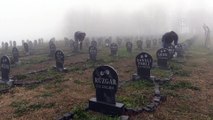 Minik dostlara 15 dönüm mezarlık (2) - SAMSUN