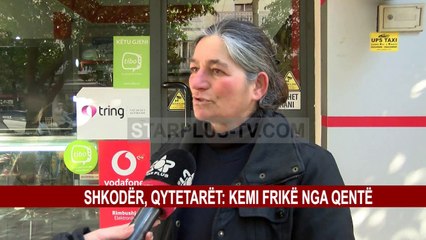 SHKODËR, QYTETARËT: KEMI FRIKË NGA QENTË