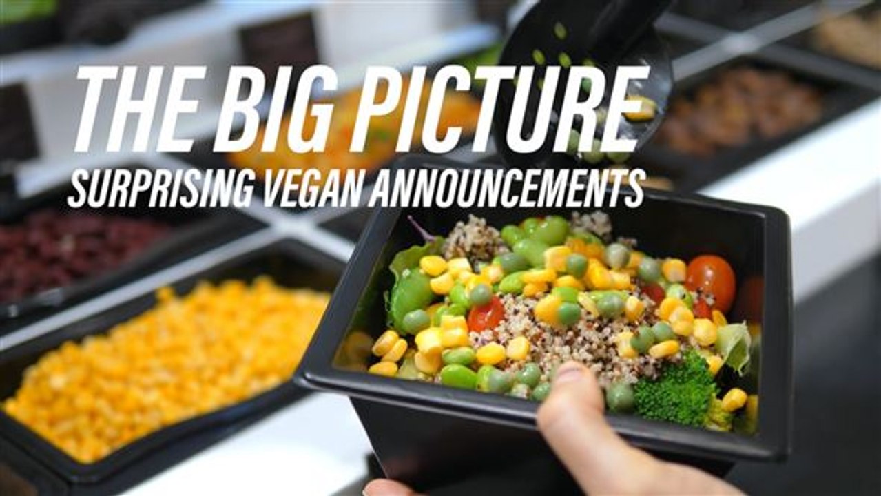 7 companies that have already gone Vegan in the last week