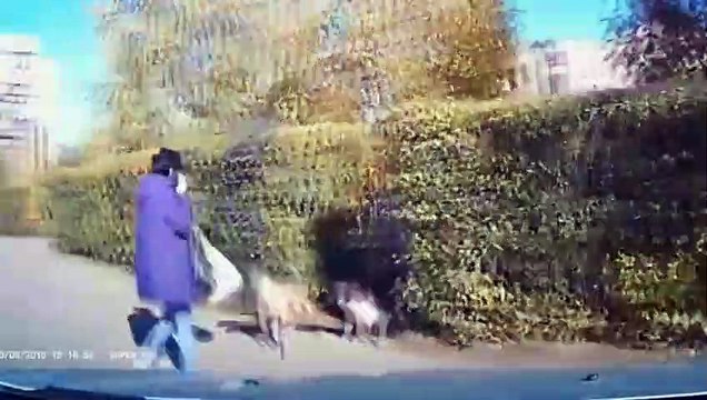 FAITH IN HUMANITY RESTORED. GOOD KARMA COMPILATION 2019