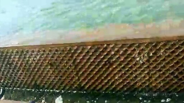 beautiful nature in Delhi