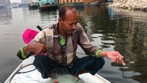 في نهر النيل.. رحلة بحث عن صيد يسير