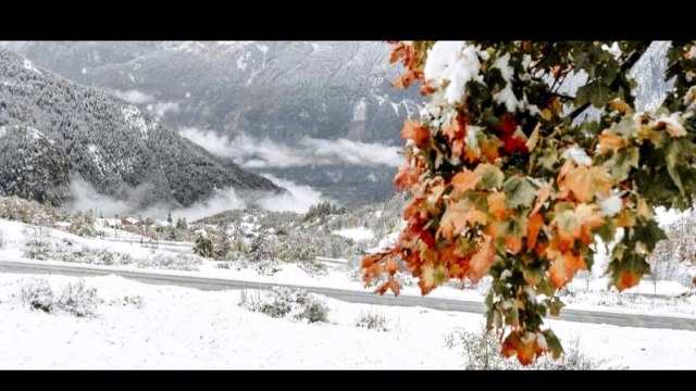 Souvenirs de la montagne ❄