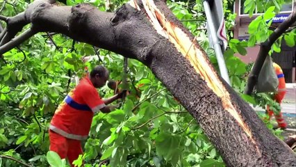 Cinco muertos por lluvias torrenciales en Rio de Janeiro